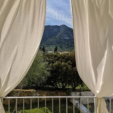 Limone San Teodoro (Sardinia)
